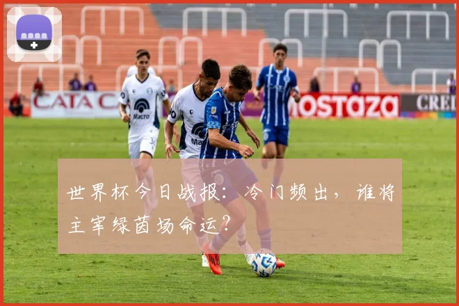 世界杯今日战报：冷门频出，谁将主宰绿茵场命运？